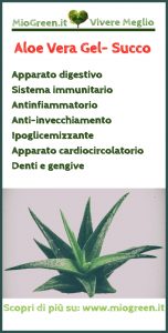 Benefici uso Aloe Vera gel e succo
