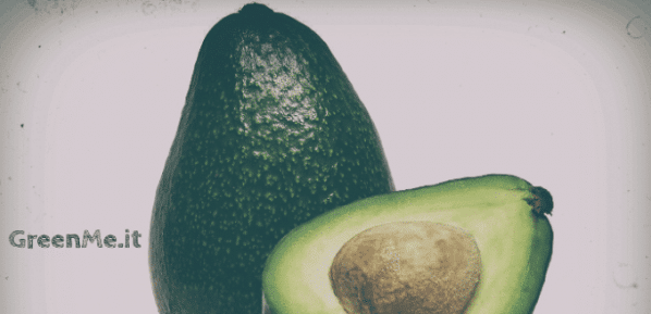 Come mangiare l'avocado con salsa guacamole