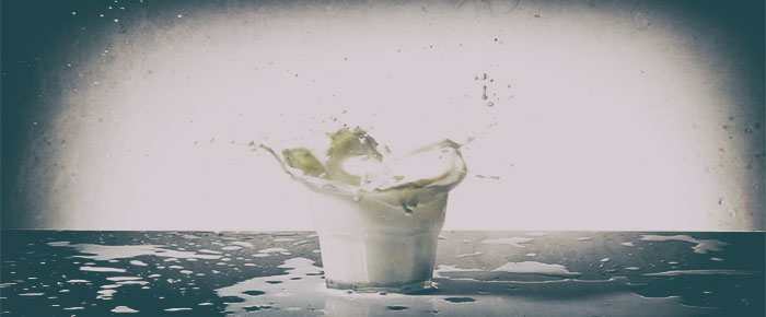 latte di cammello benefici