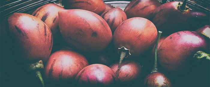 tamarillo proprietà e benefici integratore naturale
